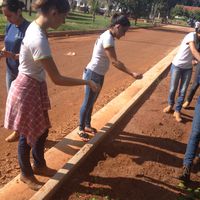 IFMT de Campo Novo do Parecis adere campanha de combate ao  Aedes aegypt